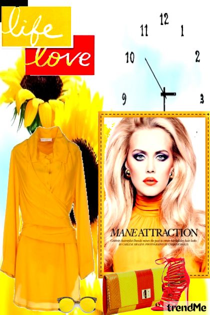 Mane Attraction- Fashion set