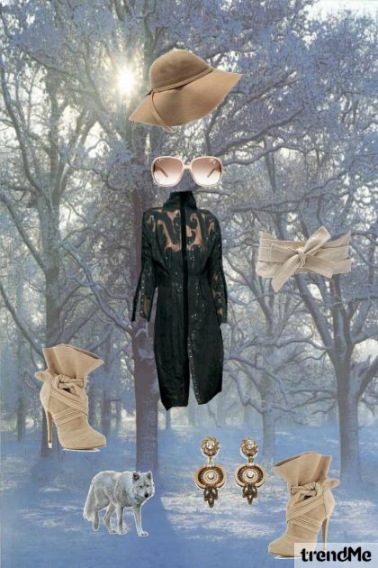 lady in snow..- Combinazione di moda