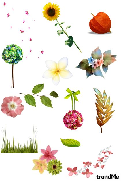 Botanicals- Fashion set