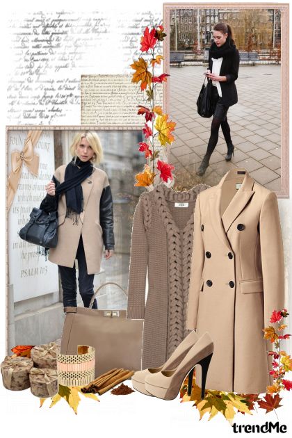 Autumn elegance- combinação de moda
