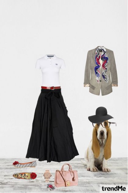 dog- Combinazione di moda