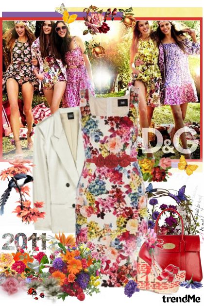 Spring 2011: D&G- Fashion set