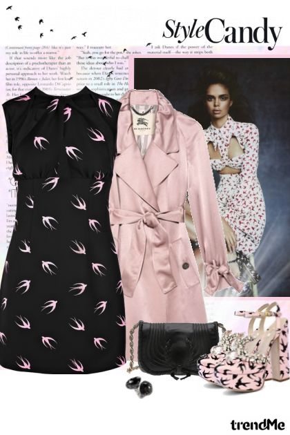 Swallow dress!- Modekombination