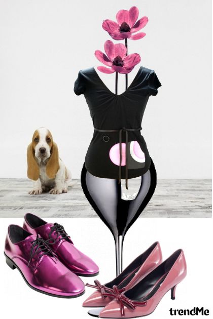 pinkydog- Fashion set