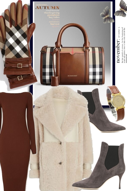 Fall brown colour- Fashion set