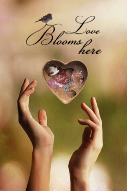 Love Blooms Here- Kreacja