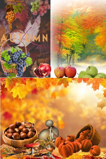 AUTUMN COLORS AND FLAVORS - Fashion set