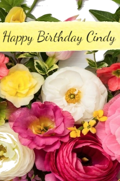 Happy Birthday To You Cindy- combinação de moda