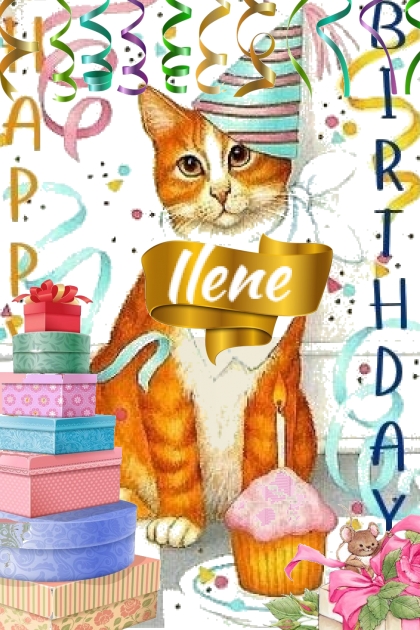Happy Birthday Ilene- Modekombination