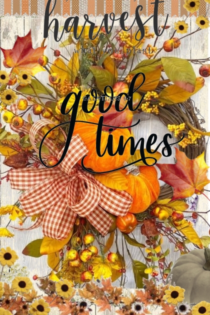 Harvest Good Times- Combinazione di moda