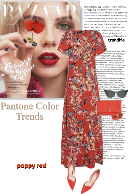 Bazaar Pantone Color Trends