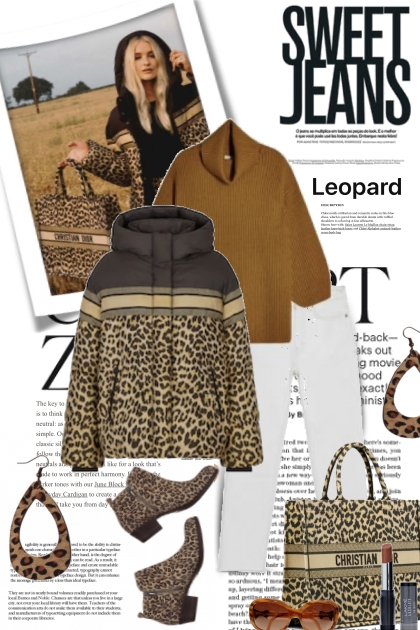Sweet Jeans and Leopard- combinação de moda