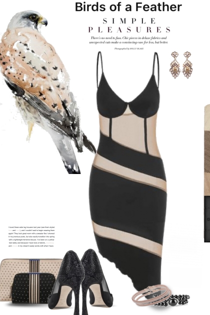Birds of a Feather in Blush and Black- Fashion set