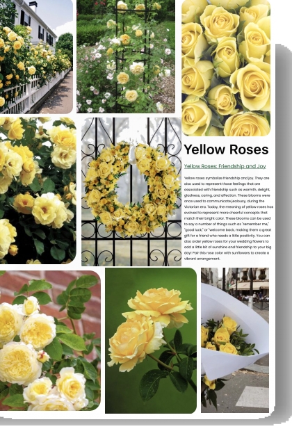 Yellow Roses Friendship and Joy- combinação de moda