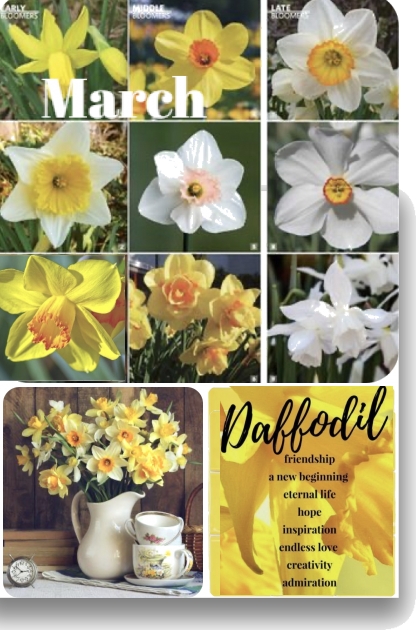The March Daffodil- Fashion set