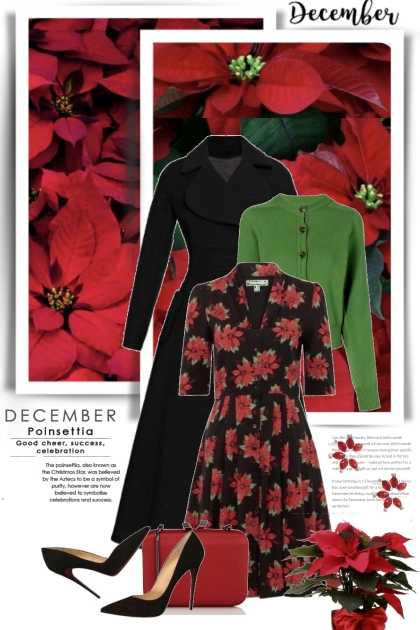 The December Poinsettia- combinação de moda