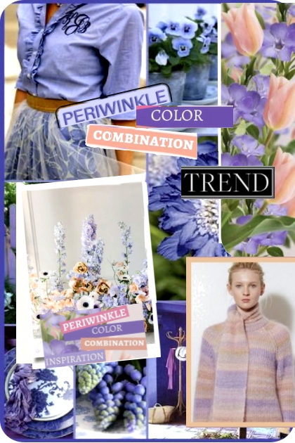 Color Combination Trend- Fashion set