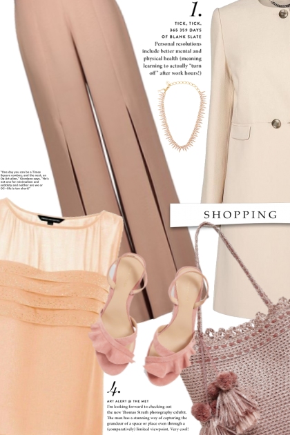 Shopping in Style- Fashion set
