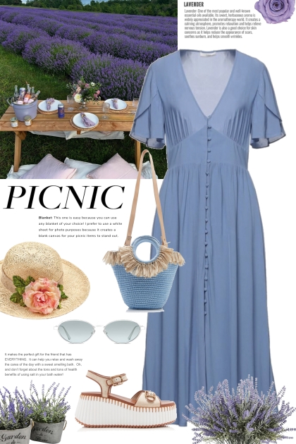 Picnic in a Lavender Field