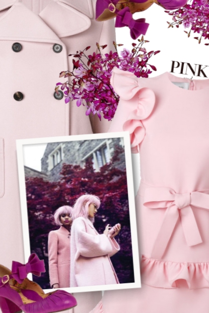  Color Pink ladies- combinação de moda