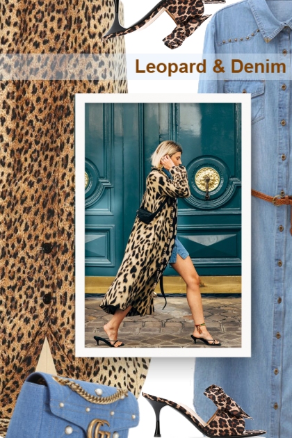 Leopard & Denim- Fashion set