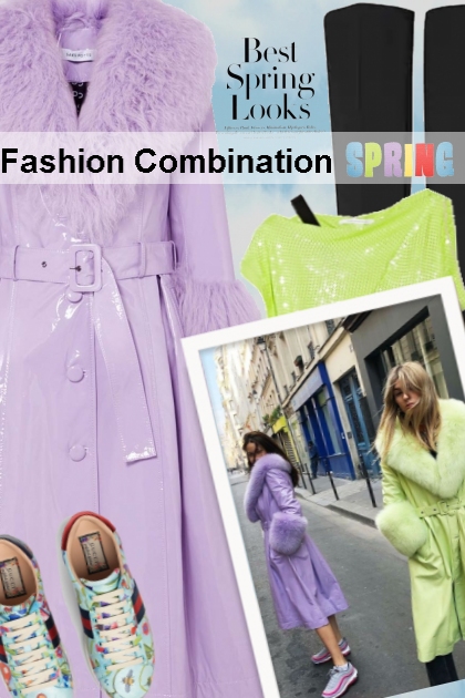  Fashion Combination- Combinaciónde moda