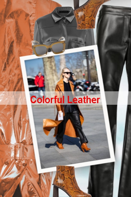 Colorful Leather - Modna kombinacija