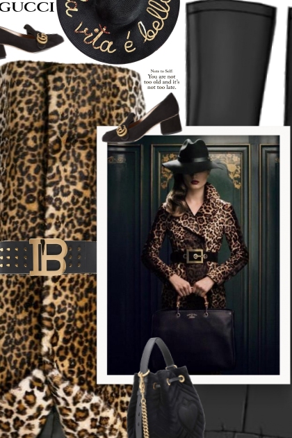   Spot On...All about Animal Prints