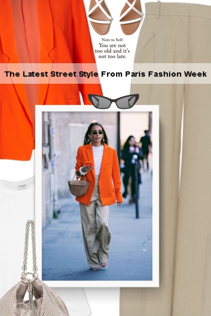 The Latest Street Style From Paris Fashion Week- Modna kombinacija