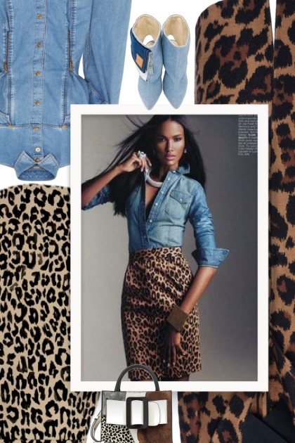 Fall 2019 - leopard print and denim- Fashion set