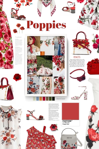 Poppy flower - combinação de moda
