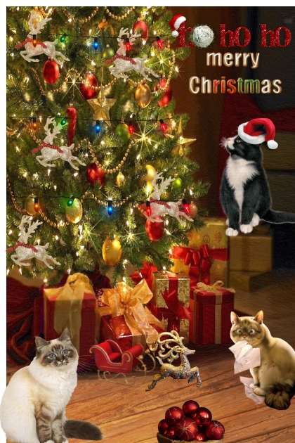 Christmas Kitty's - Modna kombinacija