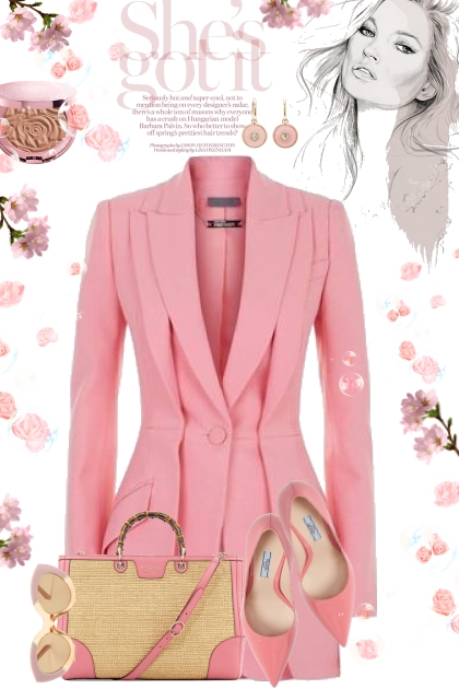Pink Blazer Dress- Fashion set