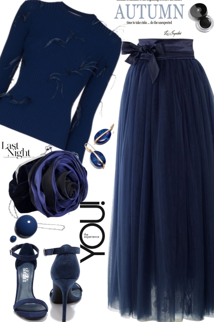 Navy Tulle Skirt- Combinaciónde moda