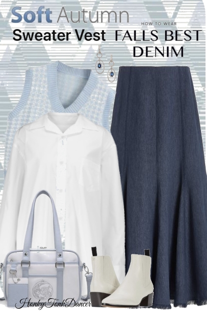  Denim Skirt- Combinazione di moda