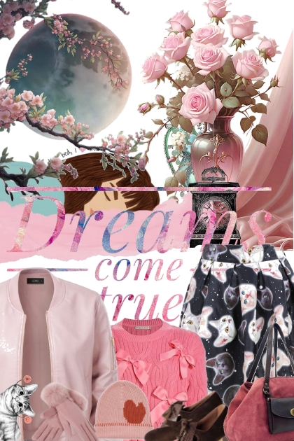 Dreams can come true- combinação de moda