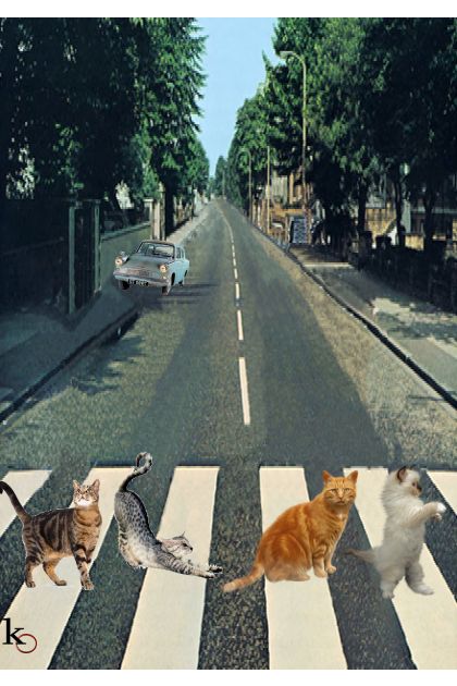 " Tabby Road " - Kreacja