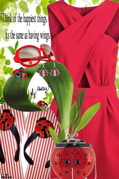 Lucky Lady Bug - Fashion set