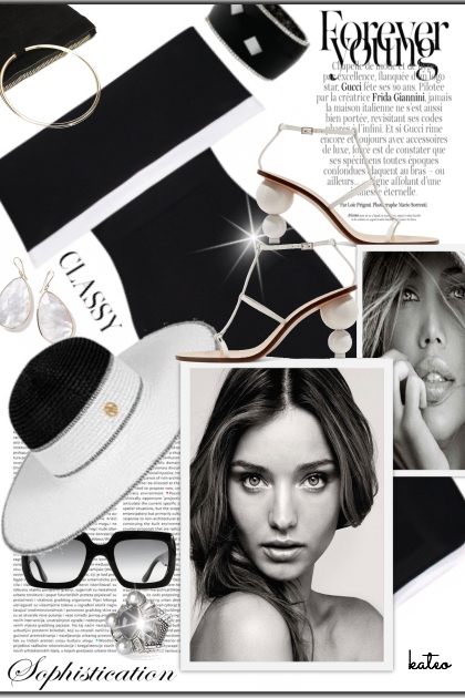 Sophistication in Black & White  - Fashion set