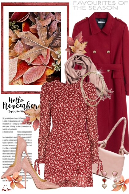 Pink & Red November - Combinazione di moda