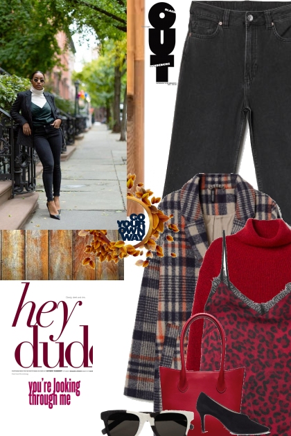 Hey Dude!- Fashion set