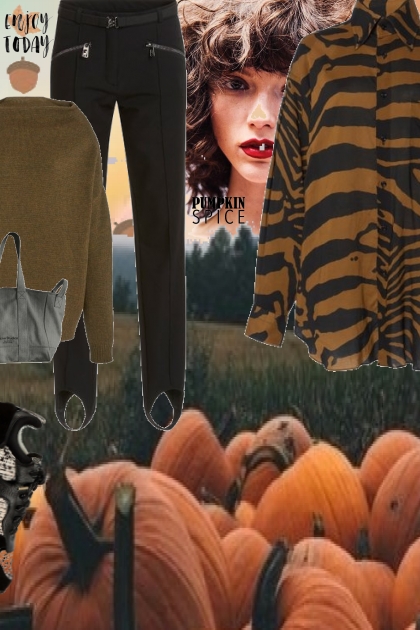 a touch of pumpkin- Fashion set