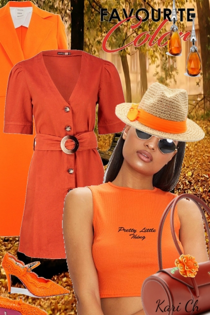 Oransje og brunt antrekk 2009- Modna kombinacija
