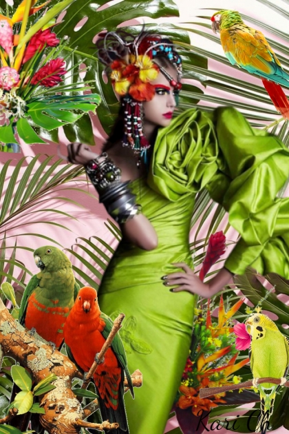 Dame med papegøyer 24-4- Модное сочетание