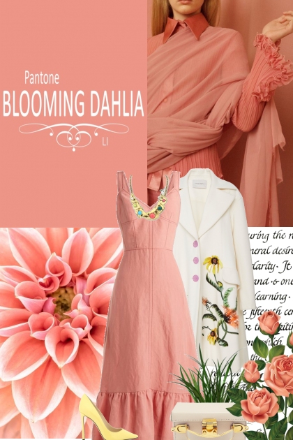 Blooming Dahlia