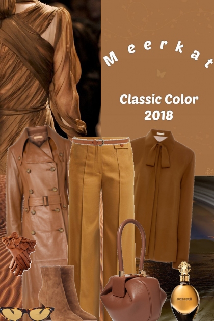 Meerkat  2018- combinação de moda