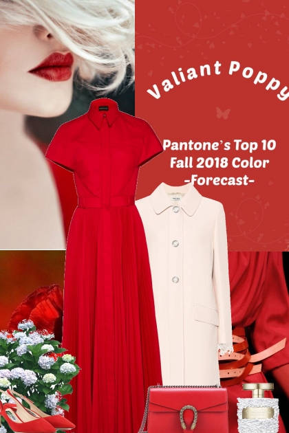 Valiant Poppy - 2018 Fall - Combinazione di moda