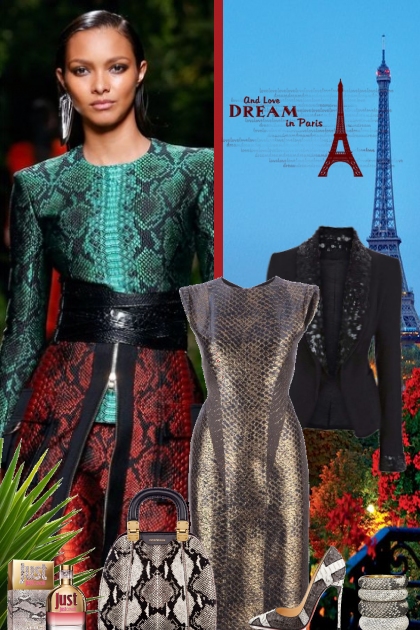 Dream in Paris- Combinazione di moda