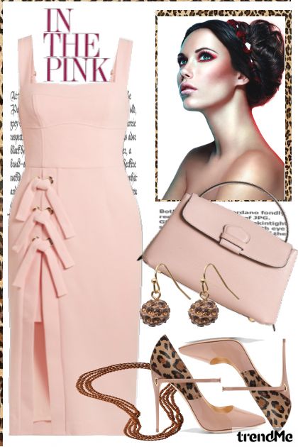 Pink lady- Fashion set