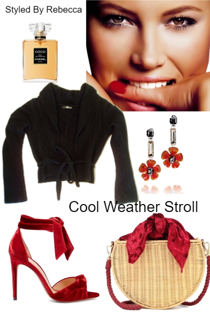 Cool weather stroll- Fashion set